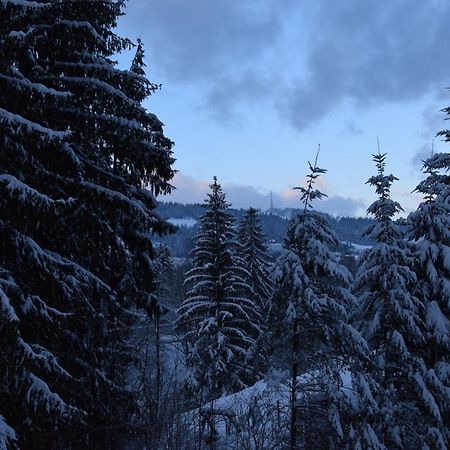 Willa Franciszek Zakopane Eksteriør bilde